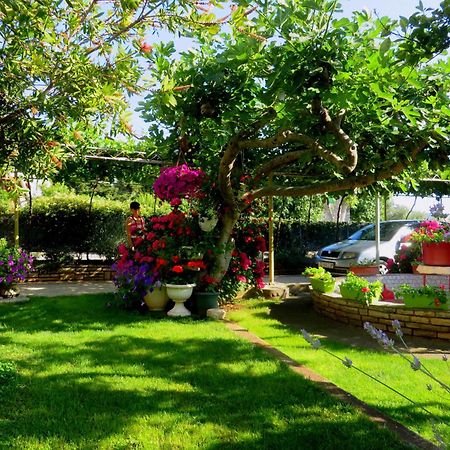 Beach Apartments Roza - The Garden Apartment Biograd Na Moru Zewnętrze zdjęcie