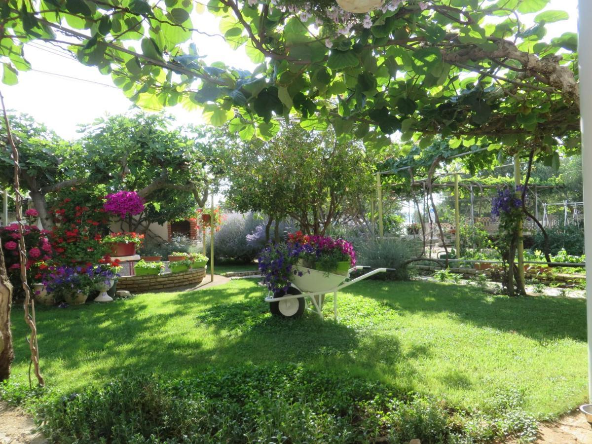 Beach Apartments Roza - The Garden Apartment Biograd Na Moru Zewnętrze zdjęcie