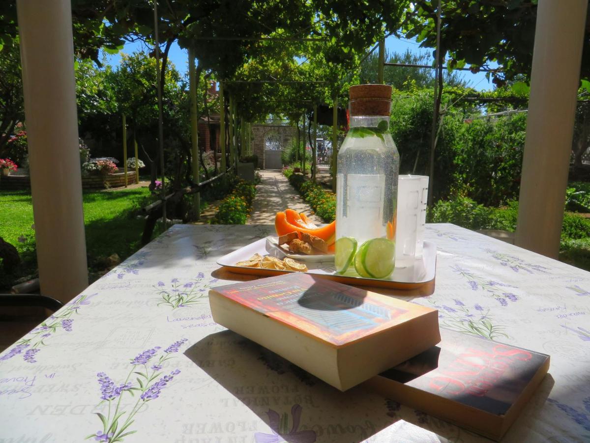 Beach Apartments Roza - The Garden Apartment Biograd Na Moru Zewnętrze zdjęcie
