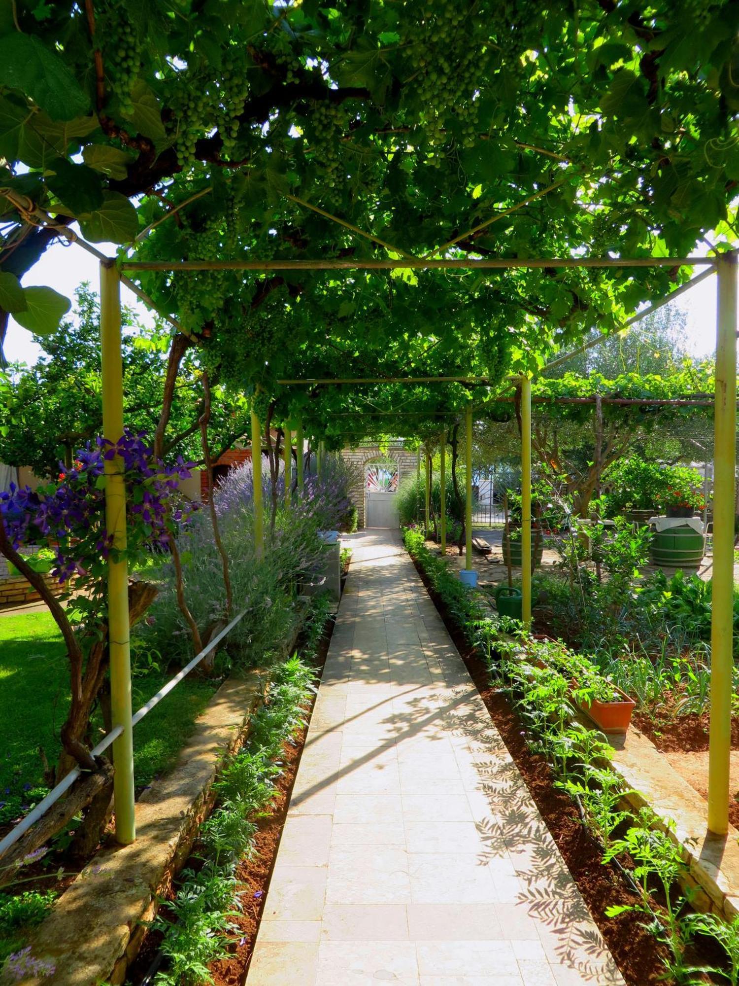 Beach Apartments Roza - The Garden Apartment Biograd Na Moru Zewnętrze zdjęcie