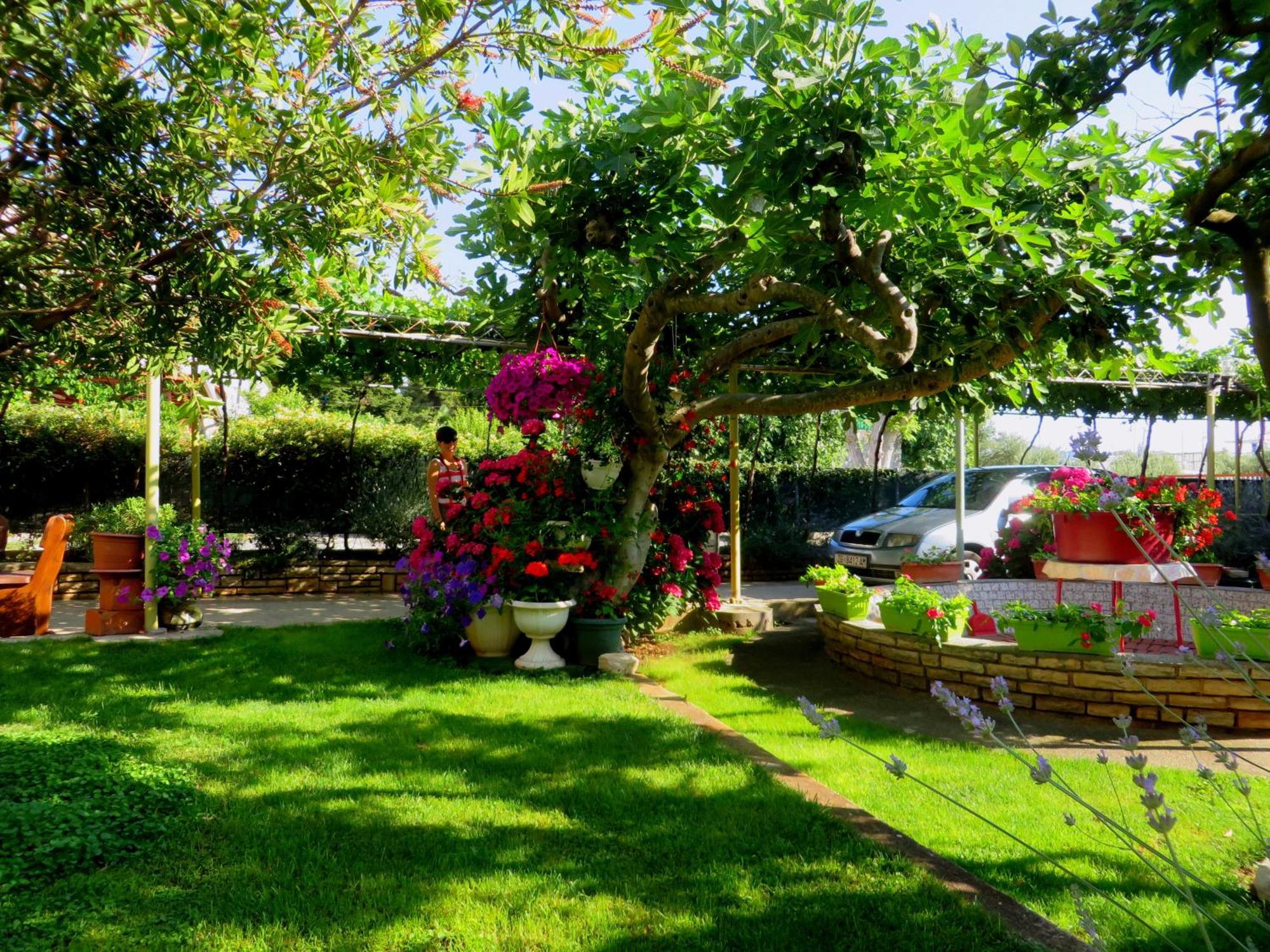 Beach Apartments Roza - The Garden Apartment Biograd Na Moru Zewnętrze zdjęcie