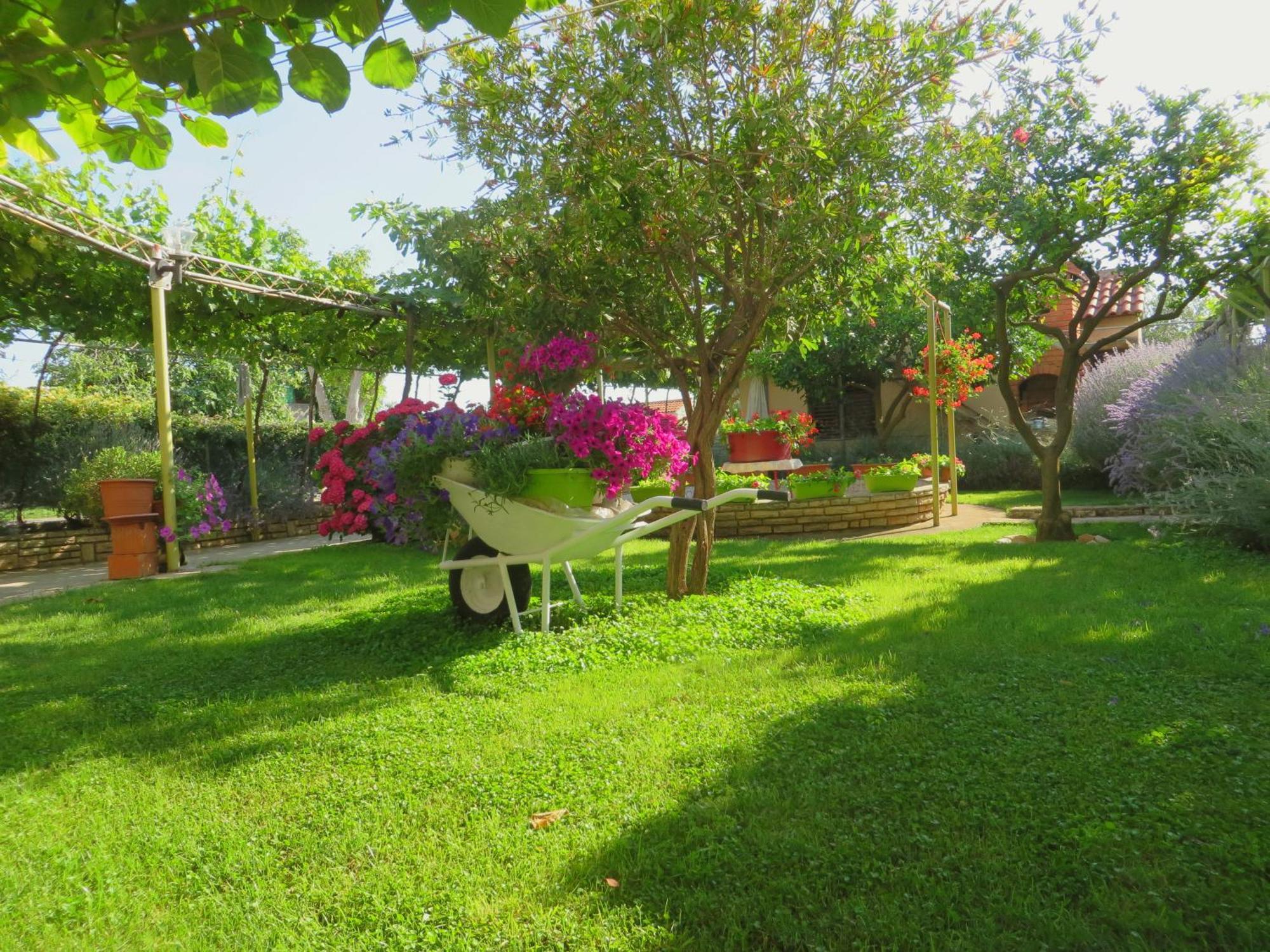 Beach Apartments Roza - The Garden Apartment Biograd Na Moru Zewnętrze zdjęcie